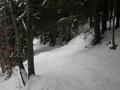 RocheFendue 29-02-04 031.jpg (1600x1200)